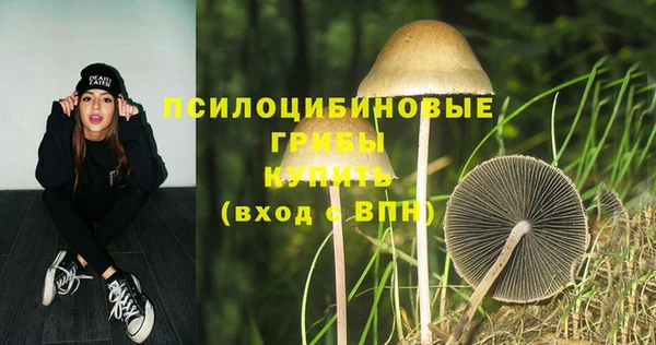ECSTASY Магадан