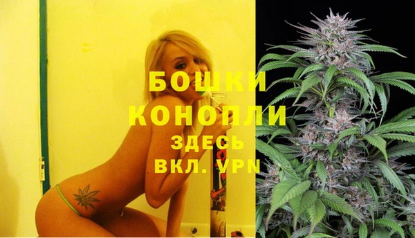 меф Мегион