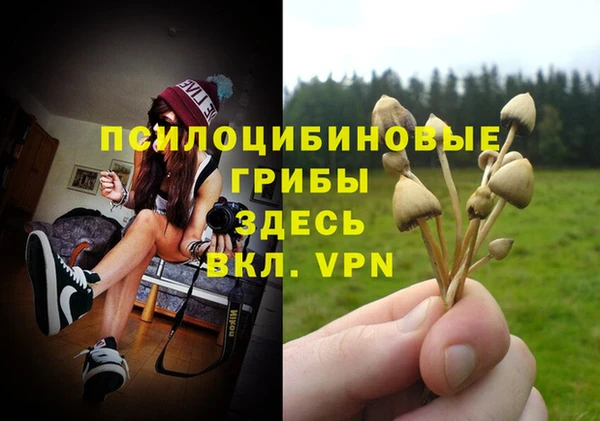 jwh Магас