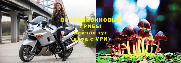 СК Магадан