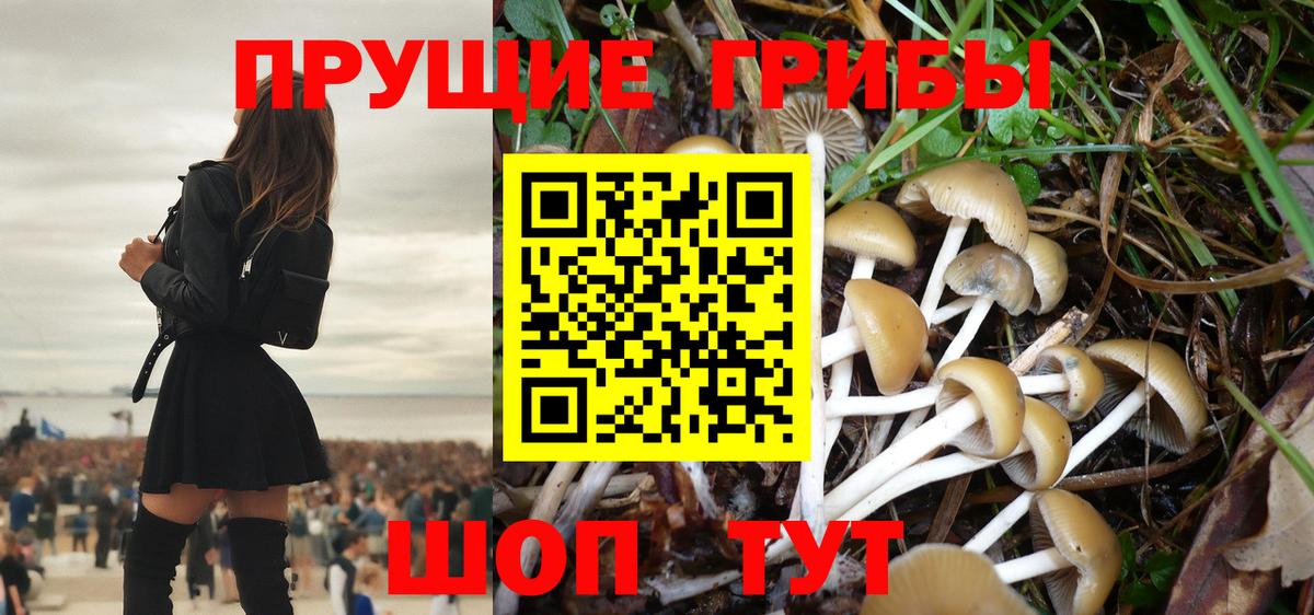 Псилоцибиновые грибы мухоморы  Вход с VPN  Белгород 
