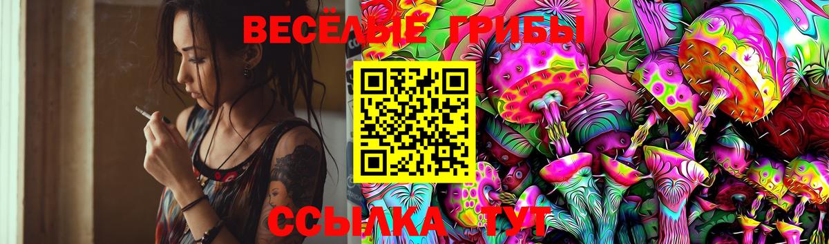 Псилоцибиновые грибы MAGIC MUSHROOMS Белгород